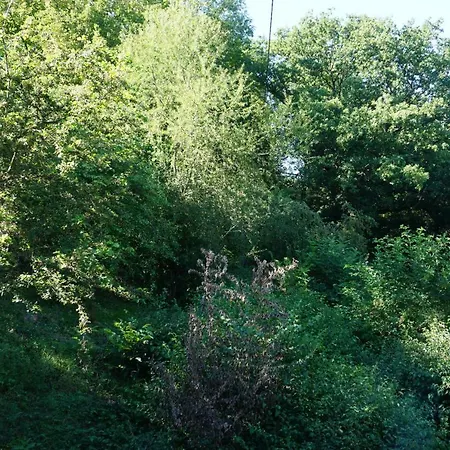 Gruene Oase Apartamento