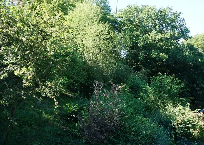 Gruene Oase Apartamento